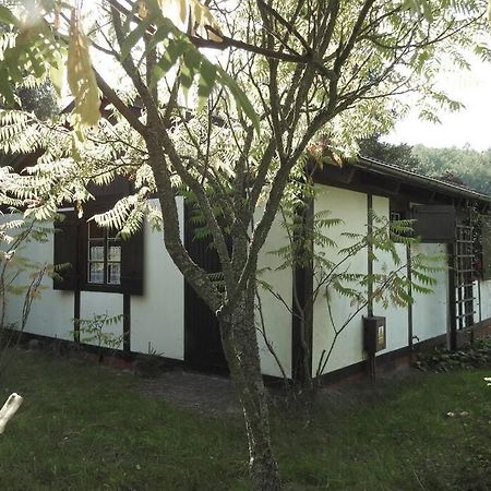 Modrzewiowy Domek Letniskowy - Stare Czaple Brodnica  Exterior foto