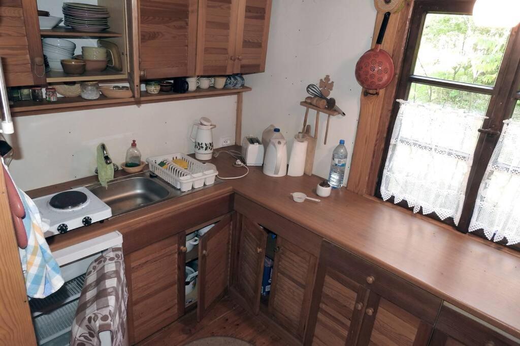 Modrzewiowy Domek Letniskowy - Stare Czaple Brodnica  Exterior foto
